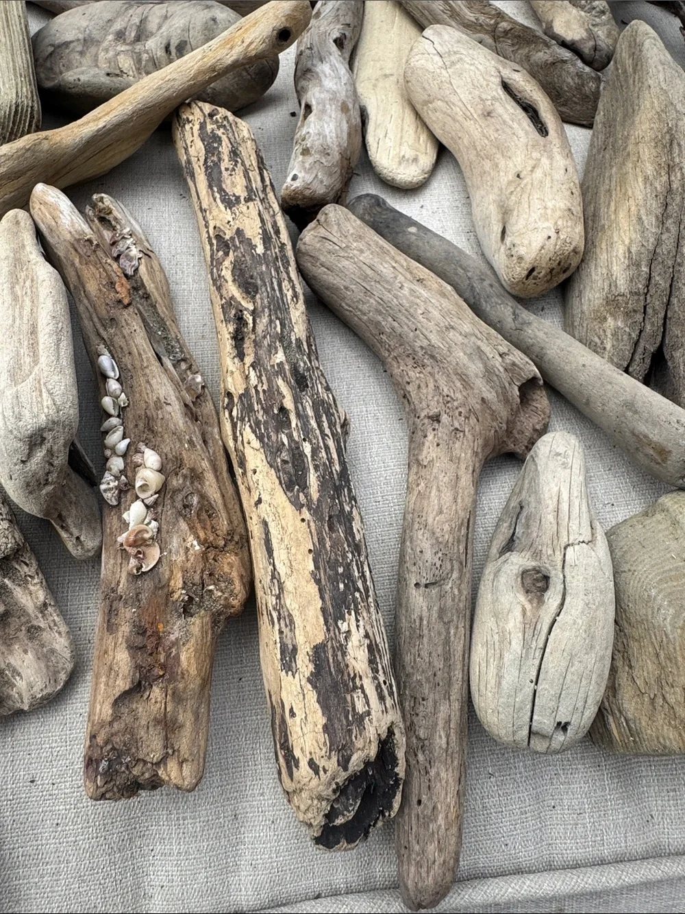 34 Pc (5lbs shipped) Box of beach Natural Driftwood Pieces for craft or decor